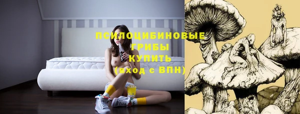 МДМА Белокуриха