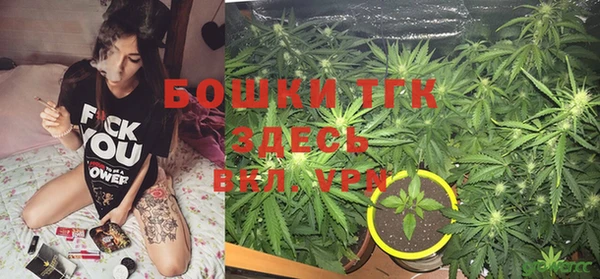 индика Беломорск