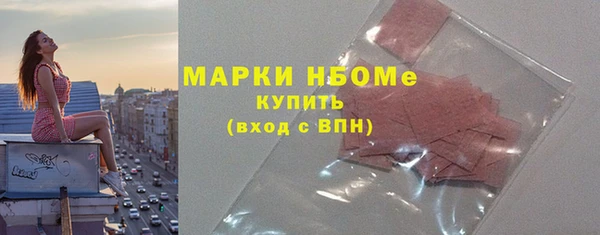 индика Беломорск
