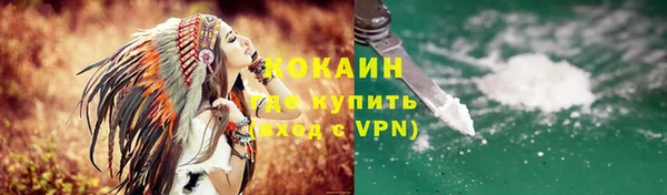индика Беломорск