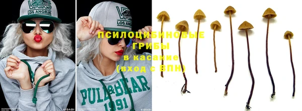 spice Белоозёрский