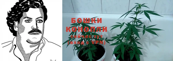 МДМА Белокуриха