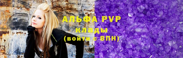 индика Беломорск
