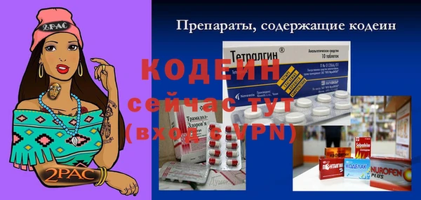 индика Беломорск